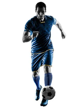 米兰体育 主要标志